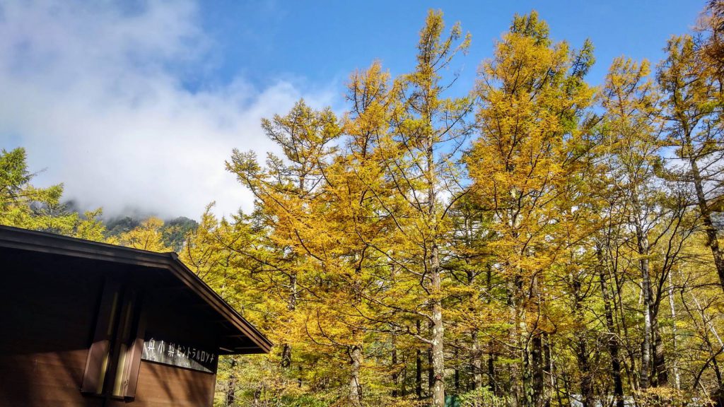 上高地の紅葉は今が見頃