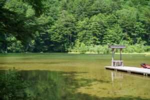 夏の上高地　明神池　水面に反射する絶景　