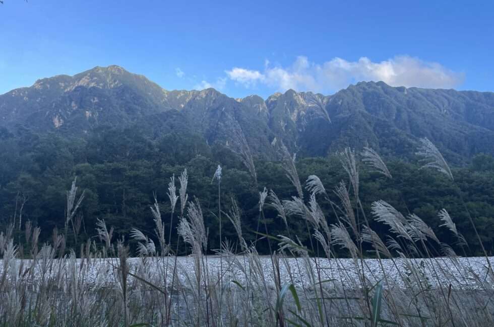 ススキと山の稜線