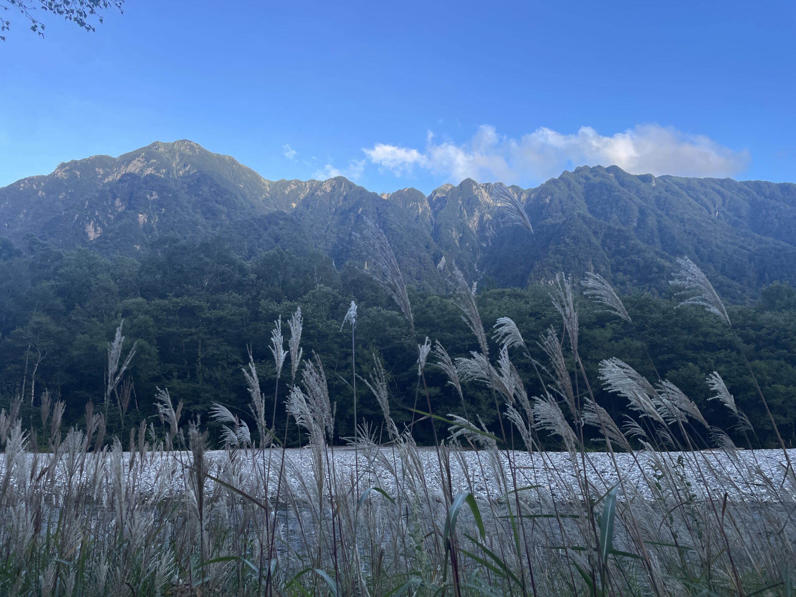 ススキと山の稜線