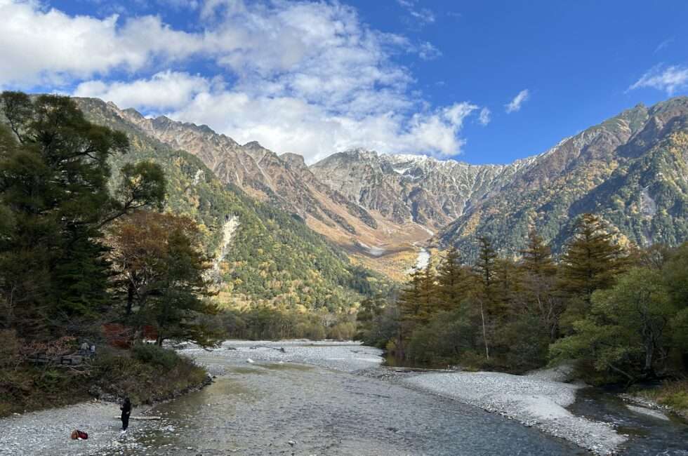 冠雪した穂高連峰とカラマツの黃葉