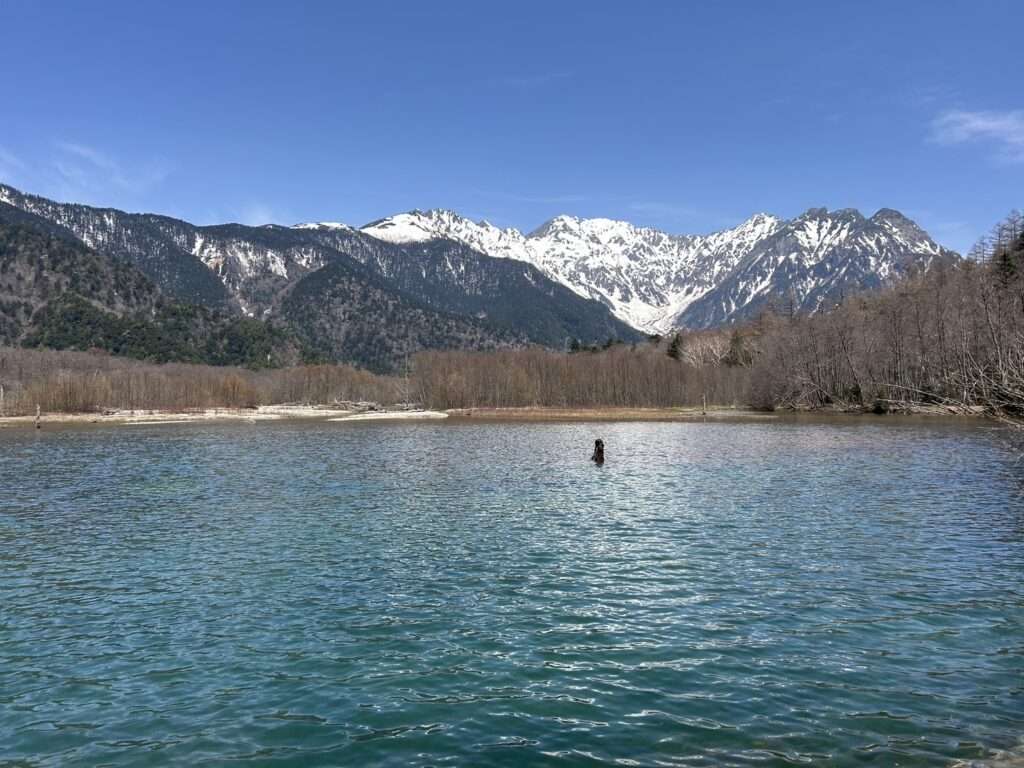 穂高連峰と大正池