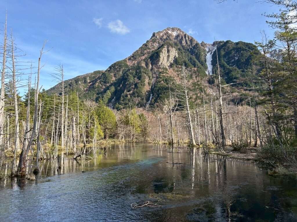 岳沢湿原