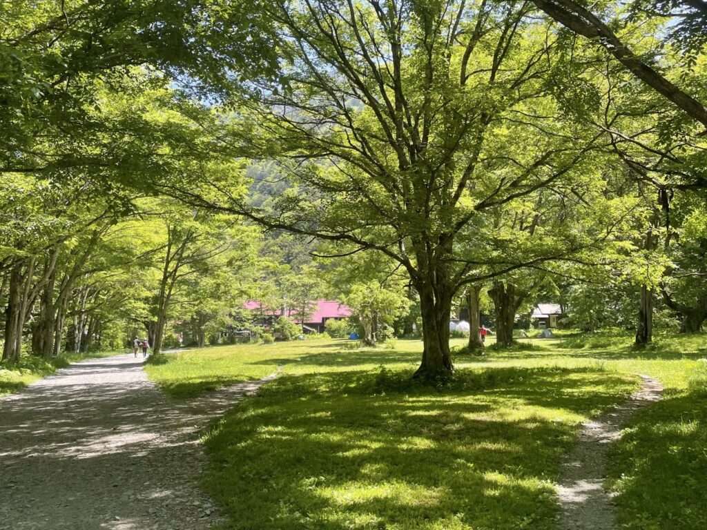 徳沢　初夏の上高地　徳沢キャンプ場