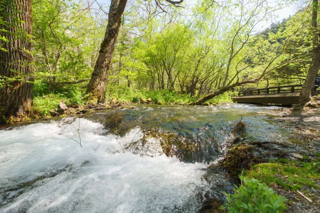 夏の上高地避暑スポット　清水川