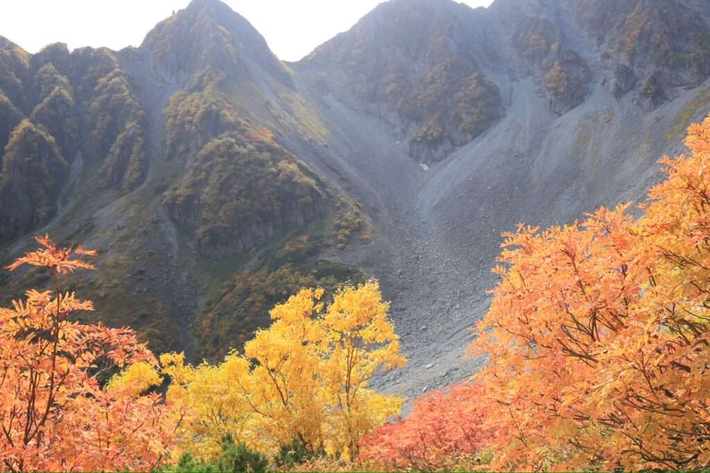 涸沢　穂高連峰　上高地　紅葉　黄葉　2025　秋