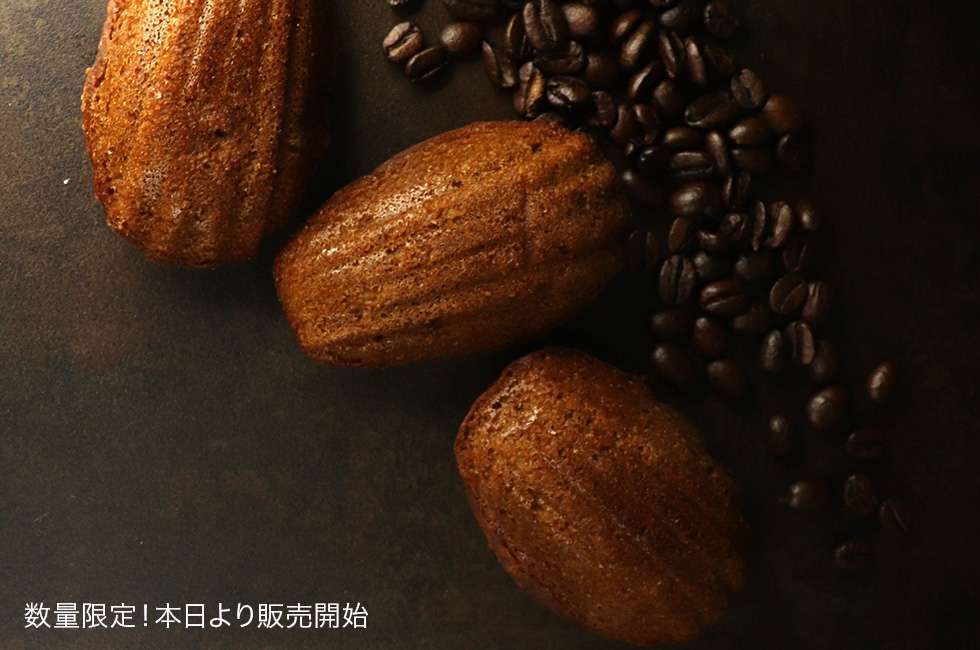 マドレーヌ・オ・カフェ 限定ギフト 五千尺ホテル上高地 スイーツ 限定販売