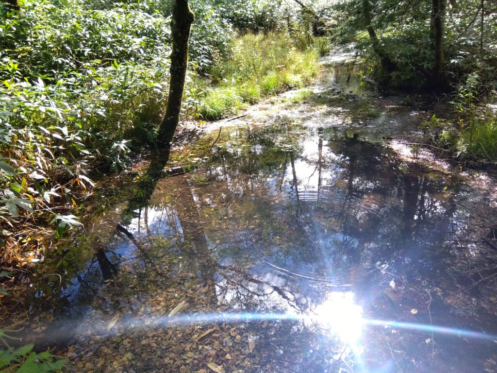 上高地の湧水・9月は避暑におすすめ