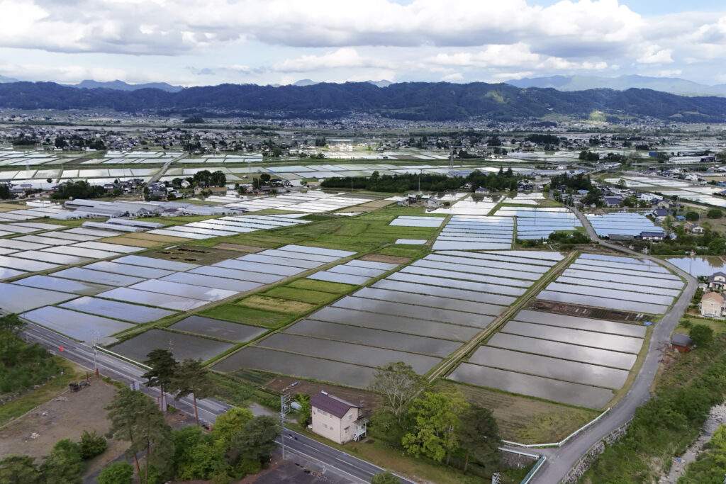 松川村の田んぼ