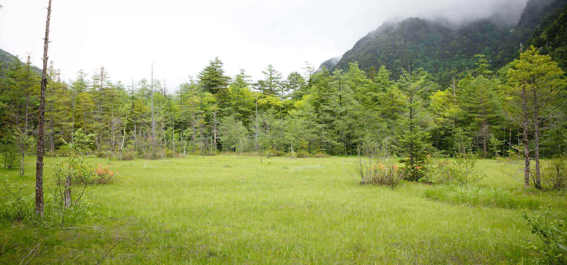 上高地観光スポット：田代池・田代湿原